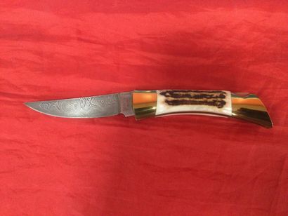 null 1 Browning Damascus knife with deer handle