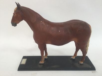 School horse in resin