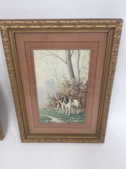 null L.DAREY( 1863 - 1914 ) two watercolours , Dogs of stop, dim : 33,5 x 20,5 c...