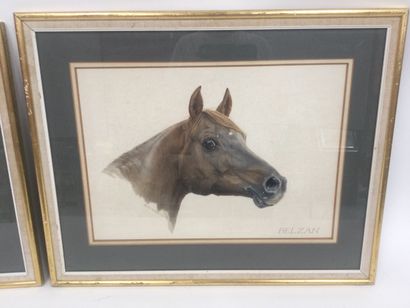null Betty BERKELEY, 1887, gouache dim : 35 x 52 cm