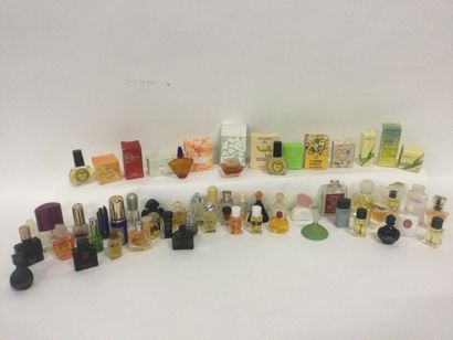 null Collection d'environ 60 miniatures de parfum : Yves Rocher, Van cleef, Ted Lapidus......