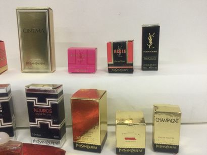 null Collection de 15 miniatures pour la marque Yves Saint Laurent dans leurs boite...