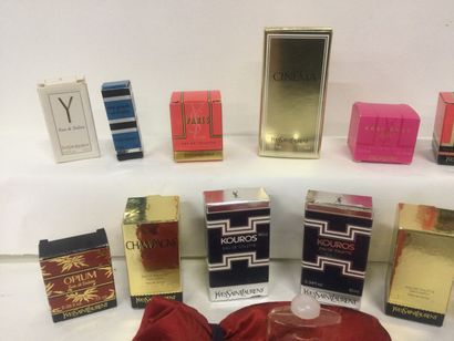 null Collection de 15 miniatures pour la marque Yves Saint Laurent dans leurs boite...