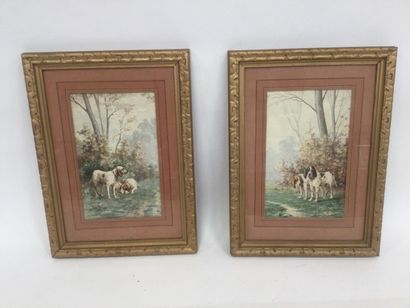 null L.DAREY( 1863 - 1914 ) deux aquarelles , Chiens d'arrêt, dim : 33,5 x 20,5 ...