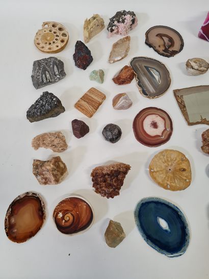 null Importante collection d'environ 80 pierres, minéraux et fossiles.