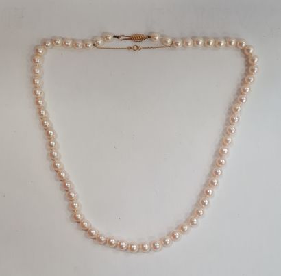 null Necklace of cultured pearls in choker, the clasp in 18k yellow gold (750/°°)....