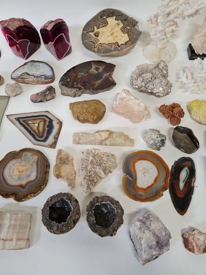 null Importante collection d'environ 80 pierres, minéraux et fossiles.