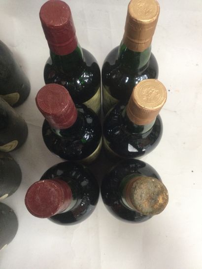 null lot 15 bouteilles : 9 CABERNET SAUVIGNON 1995 (rouge) et 6 CHÂTEAU DE BELLET...