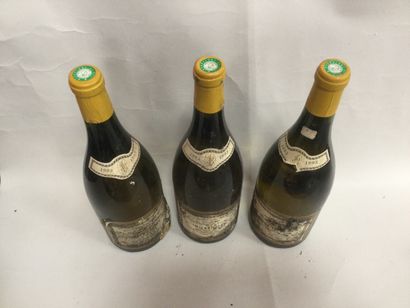 null 3 magnums MACON-LOCHÉ (blanc) 1993 domaine du château de Loché