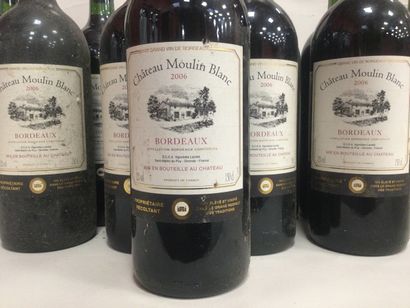 null 11 magnums BORDEAUX 2006 château Moulin Blanc