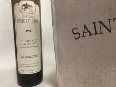 null 12 bouteilles de 50 cl CHÂTEAU SAINTE CATHERINE 1995 Bordeaux blanc sec