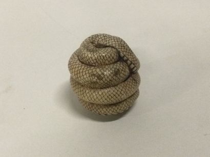null JAPAN. Carved ivory netsuke, coiled snake,. signature below, Meiji period (1868-1912)....