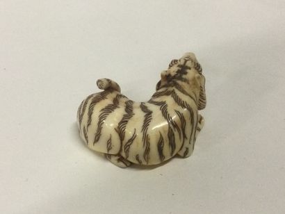 null JAPAN. A carved ivory netsuke with a tiger, signature on the bottom, Meiji period...