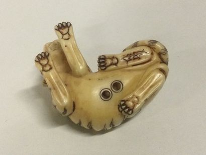 null JAPAN. A carved ivory netsuke with a tiger, signature on the bottom, Meiji period...