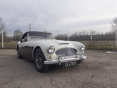 null AUSTIN HEALEY MK2, de type 300BT7, 1961, 6 cylindres de 2 912 cm3, 132 CV. Cette...