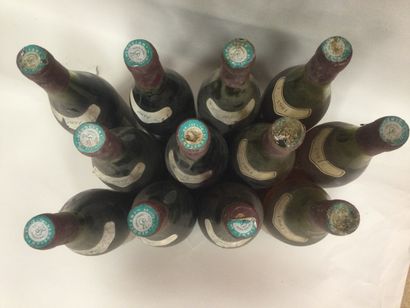 null lot 12 bouteilles: 2 Morgon Benjamin Charton 1981 + 8 Brouilly Benjamin Charton...