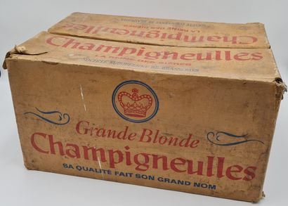 null Old empty box in strong cardboard for the brand of beer CHAMPIGNEULLES, Dim....