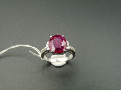 null 18K (750/oo) white gold ring centered on an oval ruby weighing 3.32 carats,...