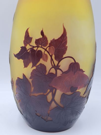  GALLÉ, Vase en verre multicouche à décor d'abutilons dégagé à l'acide dans les tons...