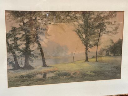 null Albert-Gabriel RIGOLOT (1862-1932), paysage arboré, Lithographie, Dim. 58 x...