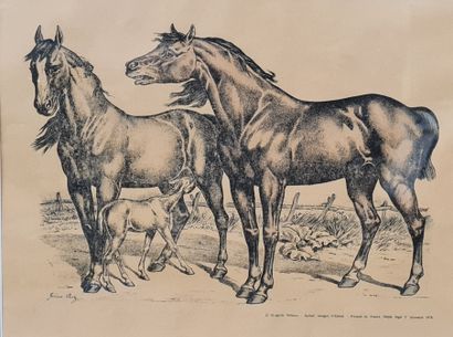 null Image d'Epinal, imagerie PELERIN figurant un couple de chevaux et leur poulain,...