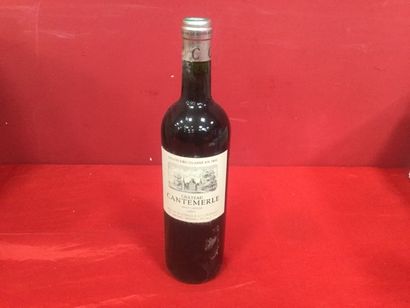 null 12 BLLES CHAT CANTEMERLE HT MEDOC 2007 GCC CBO