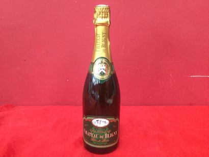 null 6 BLLES CHAMPAGNE CHAT DE BLIGNY BLANC DE BLANC