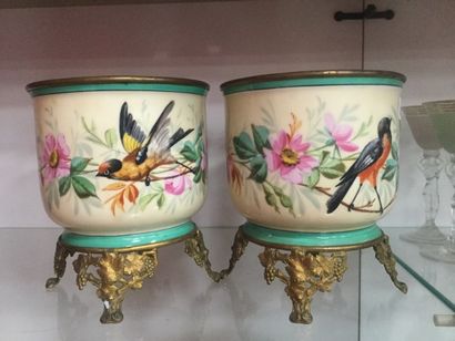 null Paire de pots en porcelaine à décor peints polychrome d'oiseaux branchés sur...