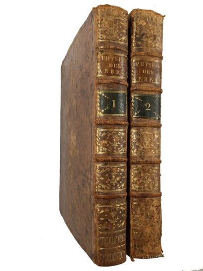 DUHAMEL DU MONCEAU «La physique des arbres», 1758, deux volumes in 4, reliure d'éditeur,...