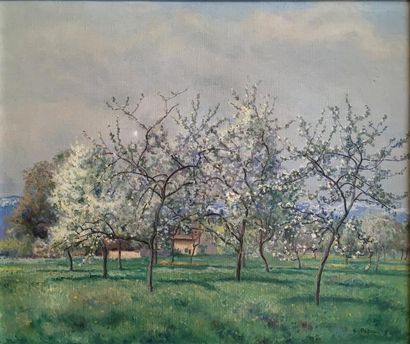 PATRU Emile, 1877-1940 Vue sur un verger en fleurs 1917 huile sur toile 38.5 x 46...