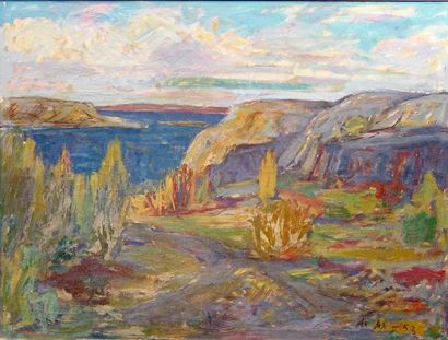 null 11- Ecole Française

''Les falaises''

Huile sur toile monogrammée BD AX et...