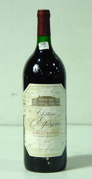 null 145- 3 Magnum de Bordeaux Château l'Espérance 1995