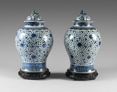 101- Two blue-white porcelain vases decorated...