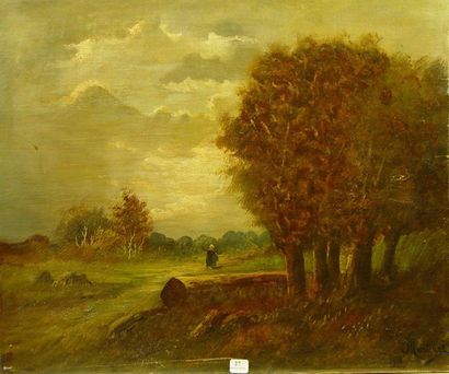 Martinet "Walker in the country

Oil on canvas signed lower right and dated 1901

45.5...