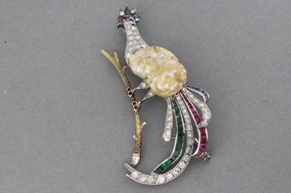 null 45- Brooch ''Bird of Paradise'' in gold

The body is made of a pearl, the feathers...