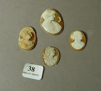 null 38- Set of four cameos on shells

(small misses)