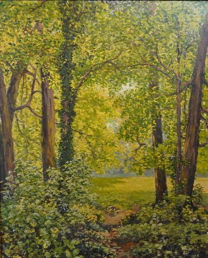 null 86- C. PAILLY (?)

''Paysage de forêt''

Huile sur toile signée en bas à droite

73...