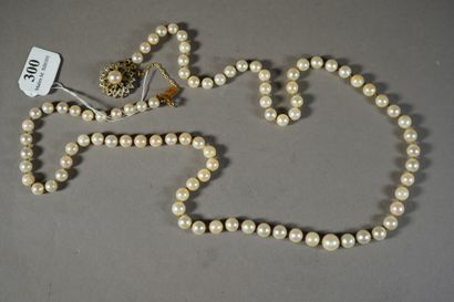 null 300- Collier de perles de culture Fermoir en or jaune serti d'une pierre bl...