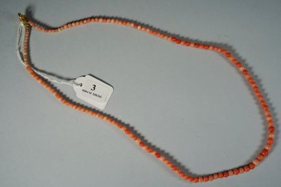 null 3- Collier en corail peau d'ange

Longueur : 60 cm