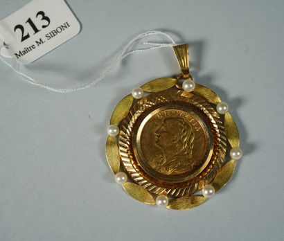 null 213- Pièce de 20 F Suisse datée 1927 montée en pendentif sertie de huit perles

Pds...