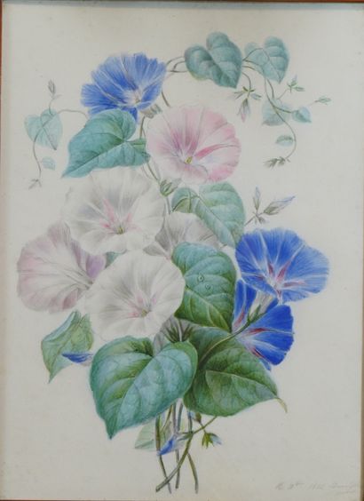 null 
52- Ecole Française XIXème siècle ''Fleurs'' Aquarelle signée illisible et...