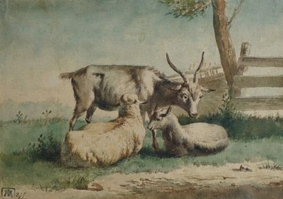 null 49- Jean-Jacques de BOISSIEU (1736-1810) attribué à ''Chèvres au pâturage''...