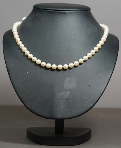 null 139- Collier de perles de culture chocker Fermoir en or jaune Pds brut : 34,3...