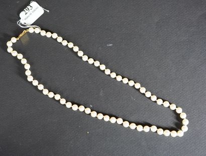293- Collier de perles de culture chocker...