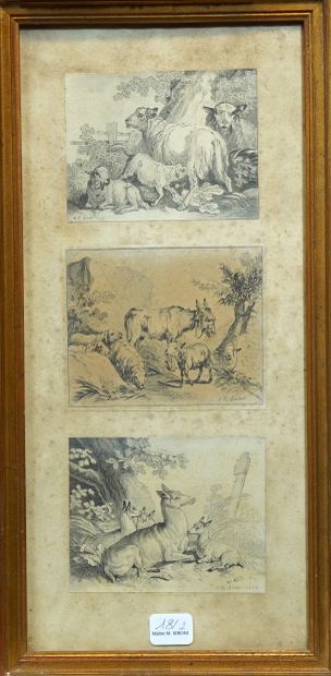 null 18- J.B. HUET Série de 5 encadrements de 16 gravures représentant des animaux...