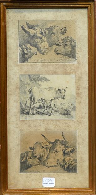  18- J.B. HUET Série de 5 encadrements de 16 gravures représentant des animaux de...
