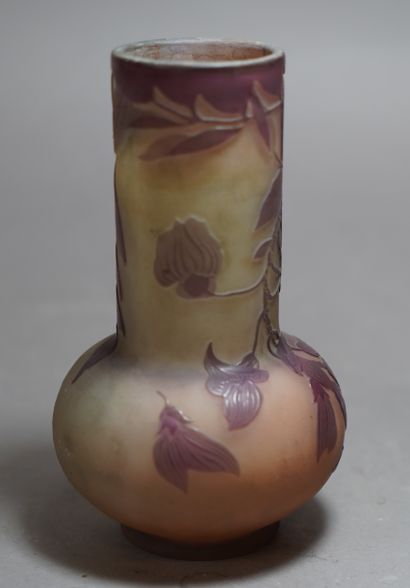 null 295- Emile GALLE

Vase en verre multicouche à décor de fleurs d'acacia

H :...