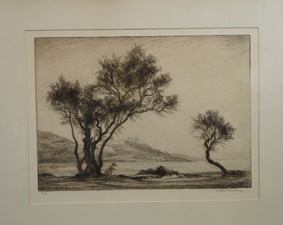 26- André SANCHEZ (?) 
''Paysage au lac'' 
Estampe numérotée 8/30 
24 x 33 cm