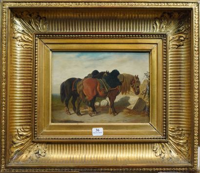 null 36- Ecole Française XIXème siècle ''Chevaux harnachés'' Huile sur panneau signée...