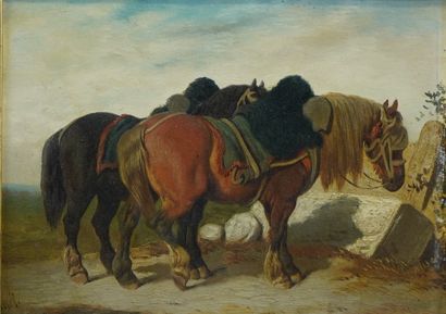 null 36- Ecole Française XIXème siècle ''Chevaux harnachés'' Huile sur panneau signée...